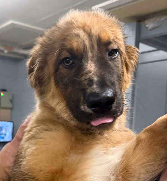 image5